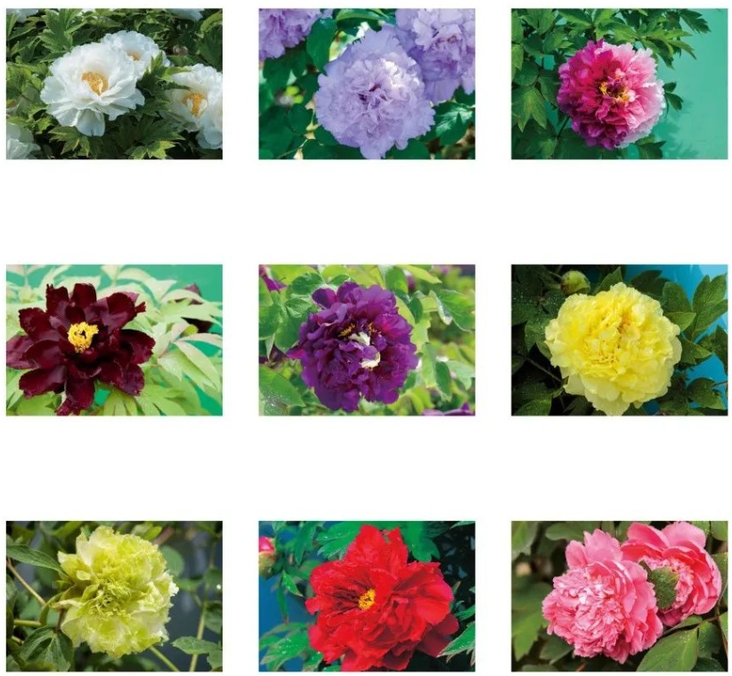 微信截图_20240325172340.png 微信截图_20240325172340.png